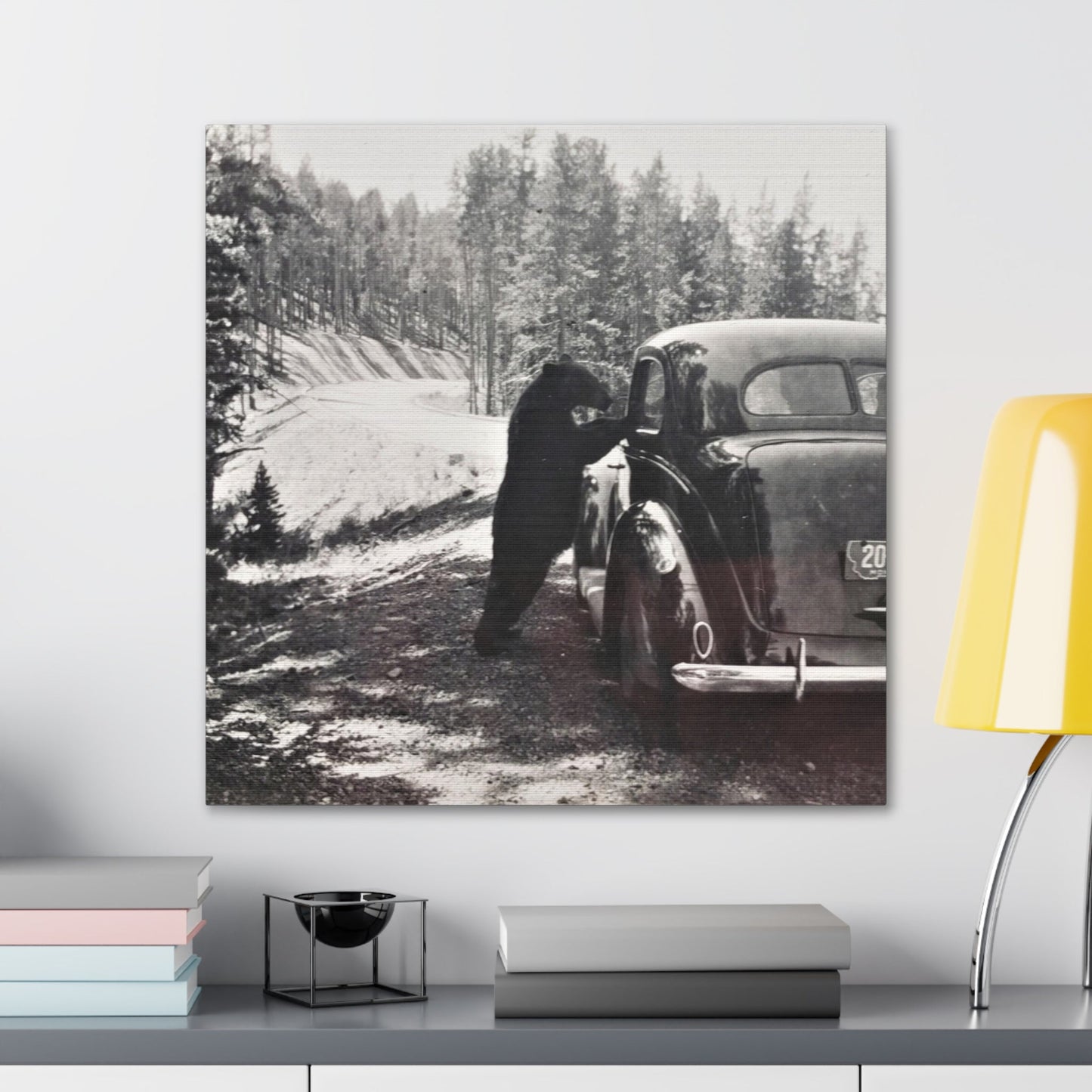 Yellowstone Bear Car Canvas Gallery Wraps 24″ x 24″ 1.25"