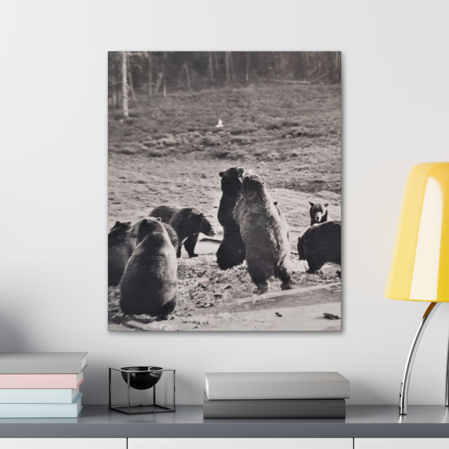 Yellowstone Grizzly Bears Canvas Gallery Wraps