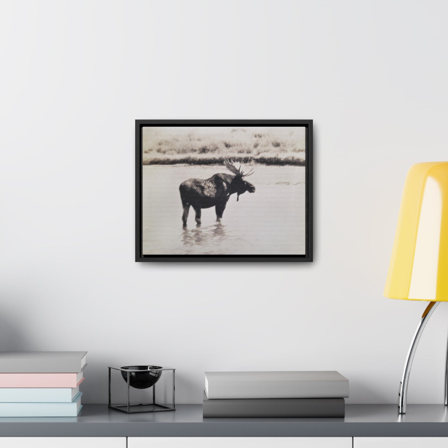 Yellowstone Bull Moose Gallery Canvas Wraps, Horizontal Frame