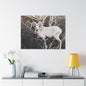 Yellowstone Big Horn Sheep Canvas Gallery Wraps 40″ x 30″ 1.25"