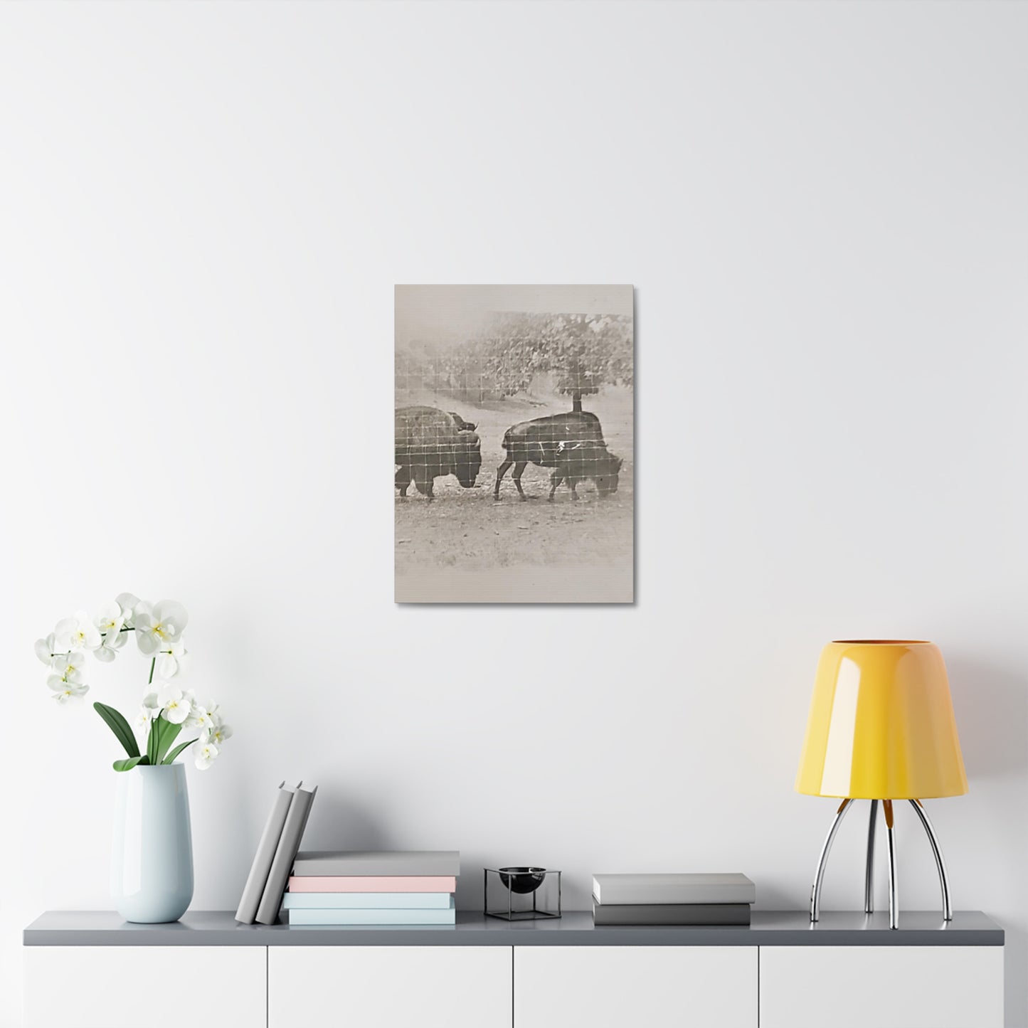 Buffalo at Redwood Falls Stretched Canvas