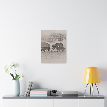 Buffalo at Redwood Falls Stretched Canvas 1.5" 18″ x 24″