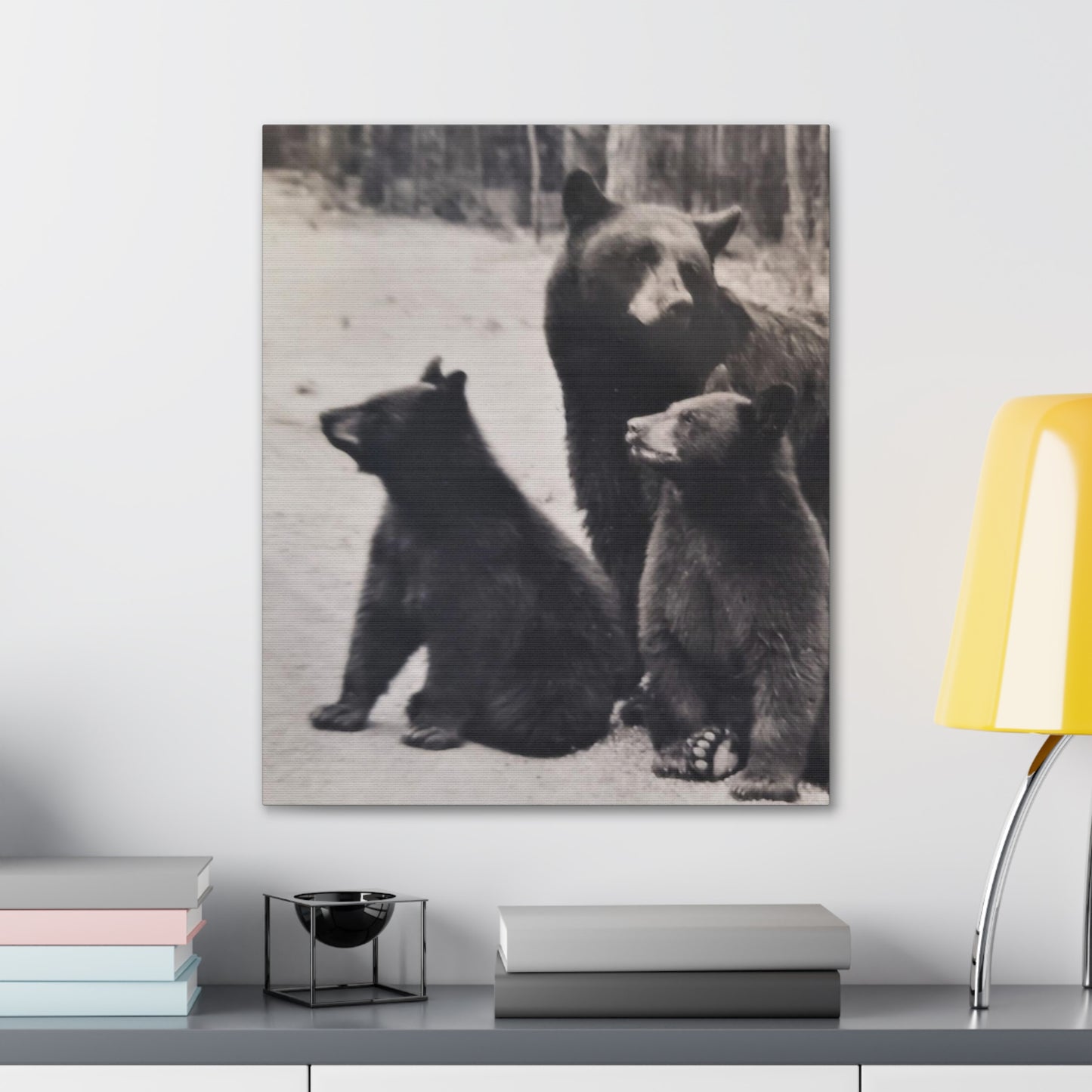 Yellowstone Black Bears Canvas Gallery Wraps