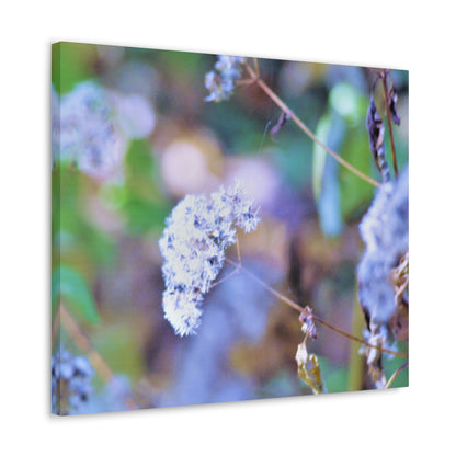 Macro Blue Canvas Gallery Wraps