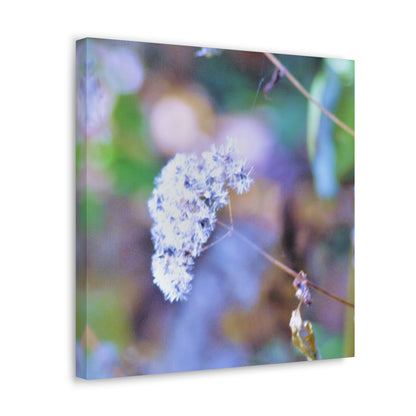 Macro Blue Canvas Gallery Wraps