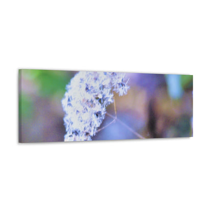 Macro Blue Canvas Gallery Wraps