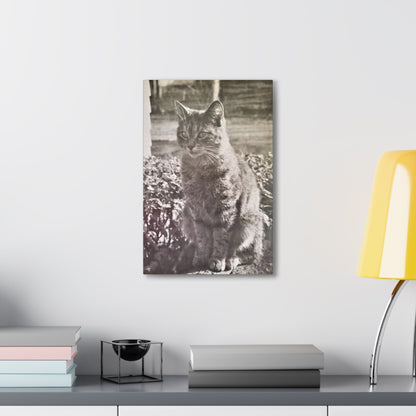 Caledonia Canvas Gallery Wraps 12" x 18" 1.25"