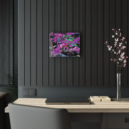 Fall Red Acrylic Prints 14″ x 11″ (Horizontal) Glossy