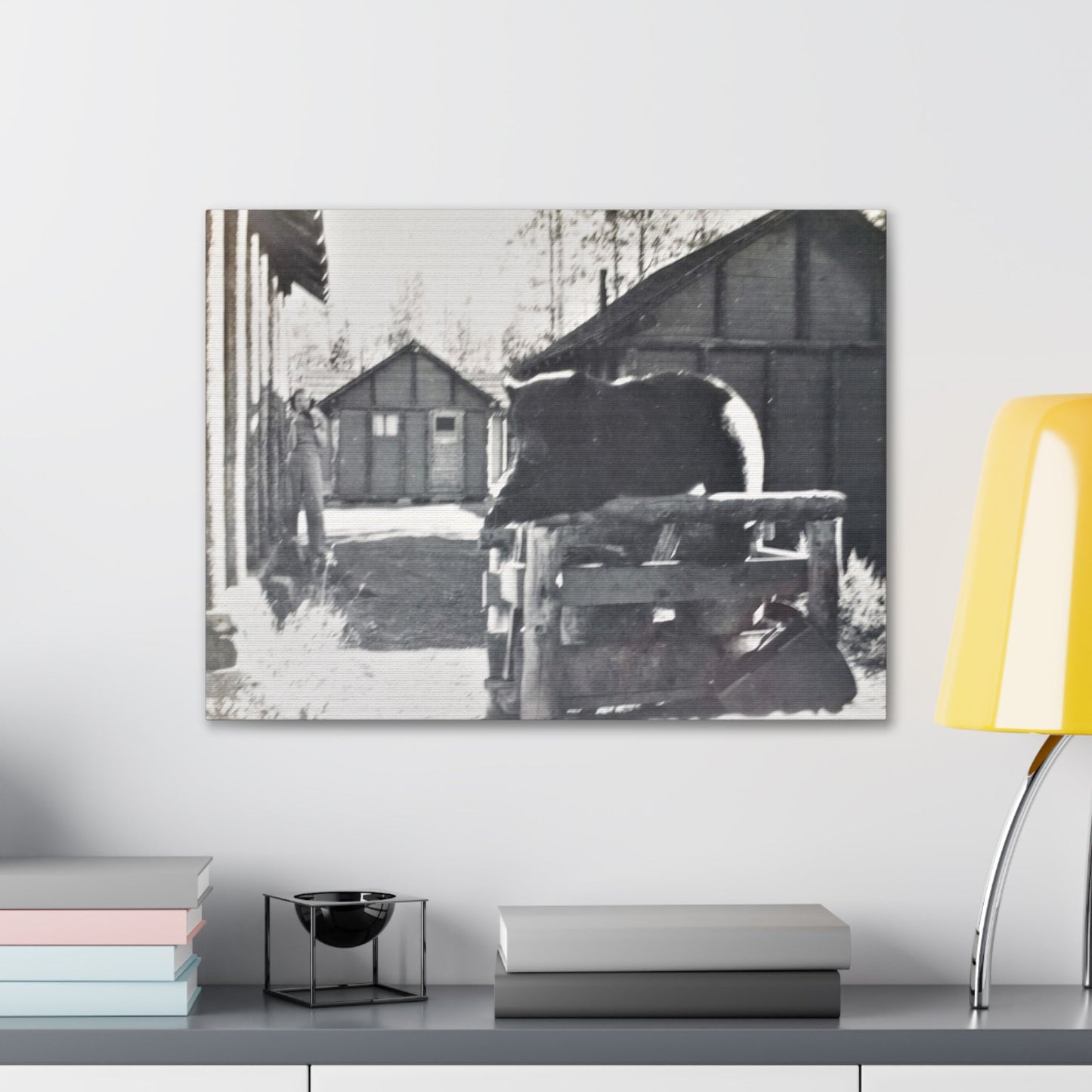 Yellowstone Bear Canvas Gallery Wraps 24″ x 18″ 1.25"