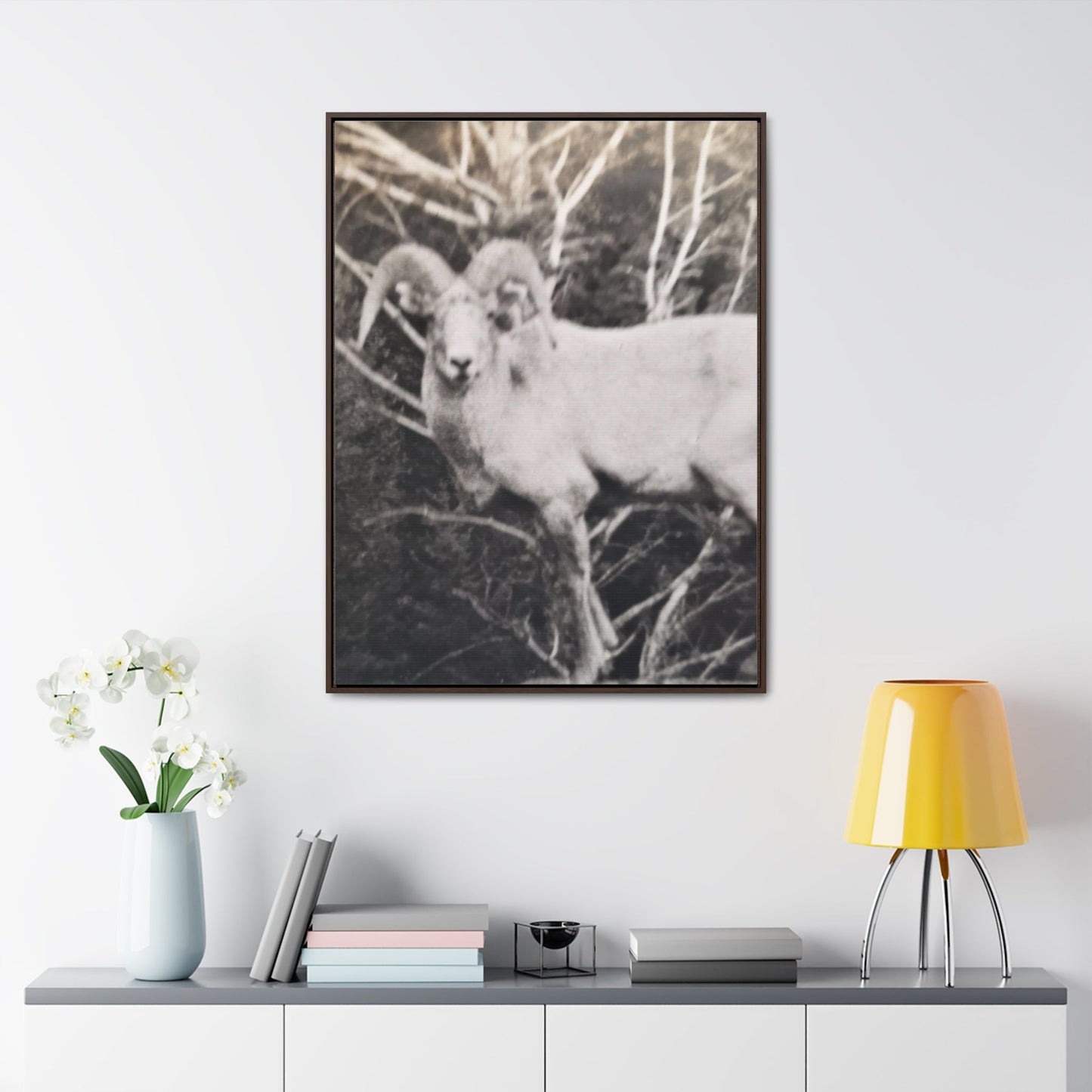 Yellowstone Big Horn Sheep Gallery Canvas Wraps Vertical Frame 30″ x 40″ Premium Gallery Wraps (1.25″) Walnut