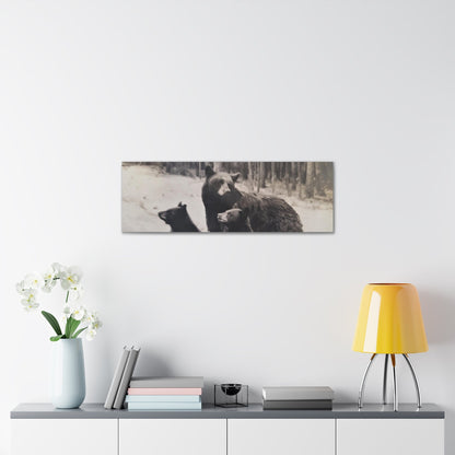 Yellowstone Black Bears Canvas Gallery Wraps 36″ x 12″ 1.25"