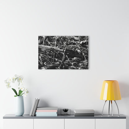 Black & White Deep Timber Path Acrylic Print French Cleat Hanging - - Home Decor