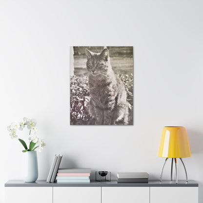 Caledonia Canvas Gallery Wraps 24″ x 30″ 1.25"