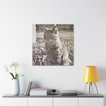 Caledonia Canvas Gallery Wraps 30″ x 30″ 1.25"