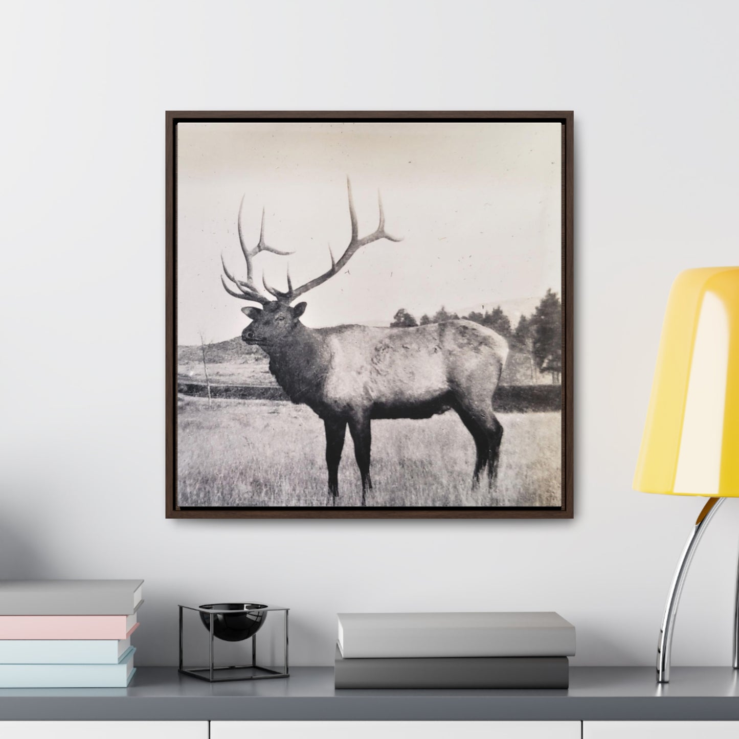 Yellowstone Bull Elk Gallery Canvas Wraps, Square Frame