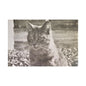 Caledonia Satin Canvas Stretched 36″ x 24″ (Horizontal) 1.5"