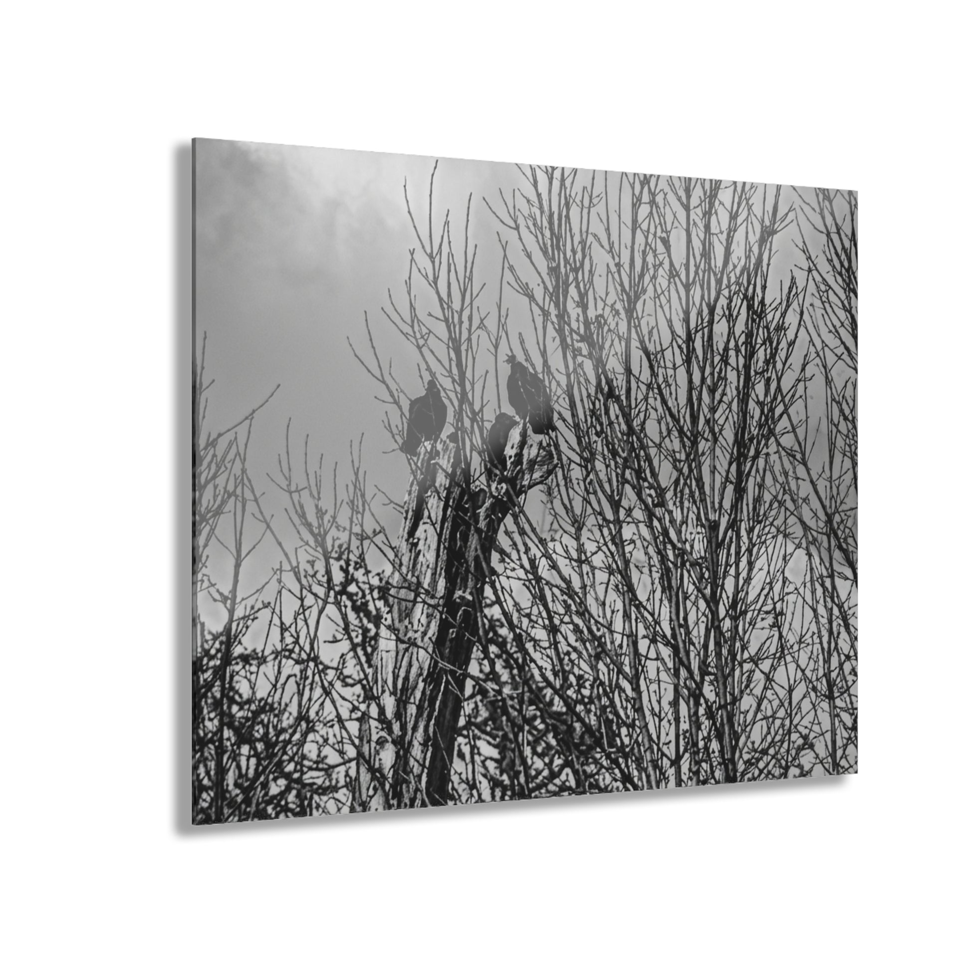 Black & White Buzzards in Winter Trees French Cleat Hanging - - Home Decor