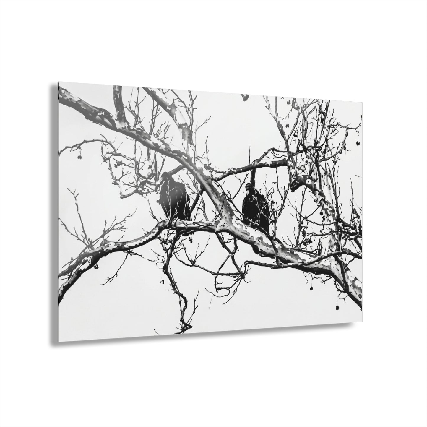 Black & White Buzzards Silhouette Acrylic Print — Modern Minimalist Wall Art - - Home Decor
