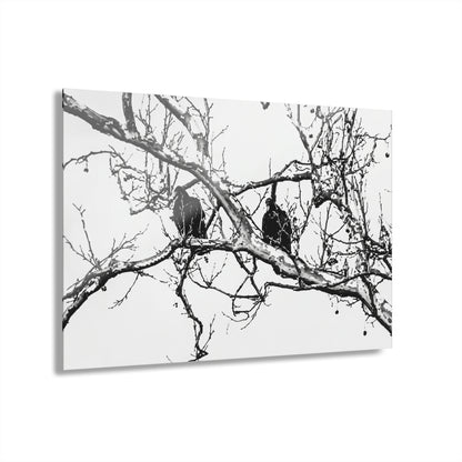 Black & White Buzzards Silhouette Acrylic Print — Modern Minimalist Wall Art - - Home Decor