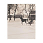 Carriage Ride Satin Canvas Stretched 24" x 30" (Vertical) 1.5"