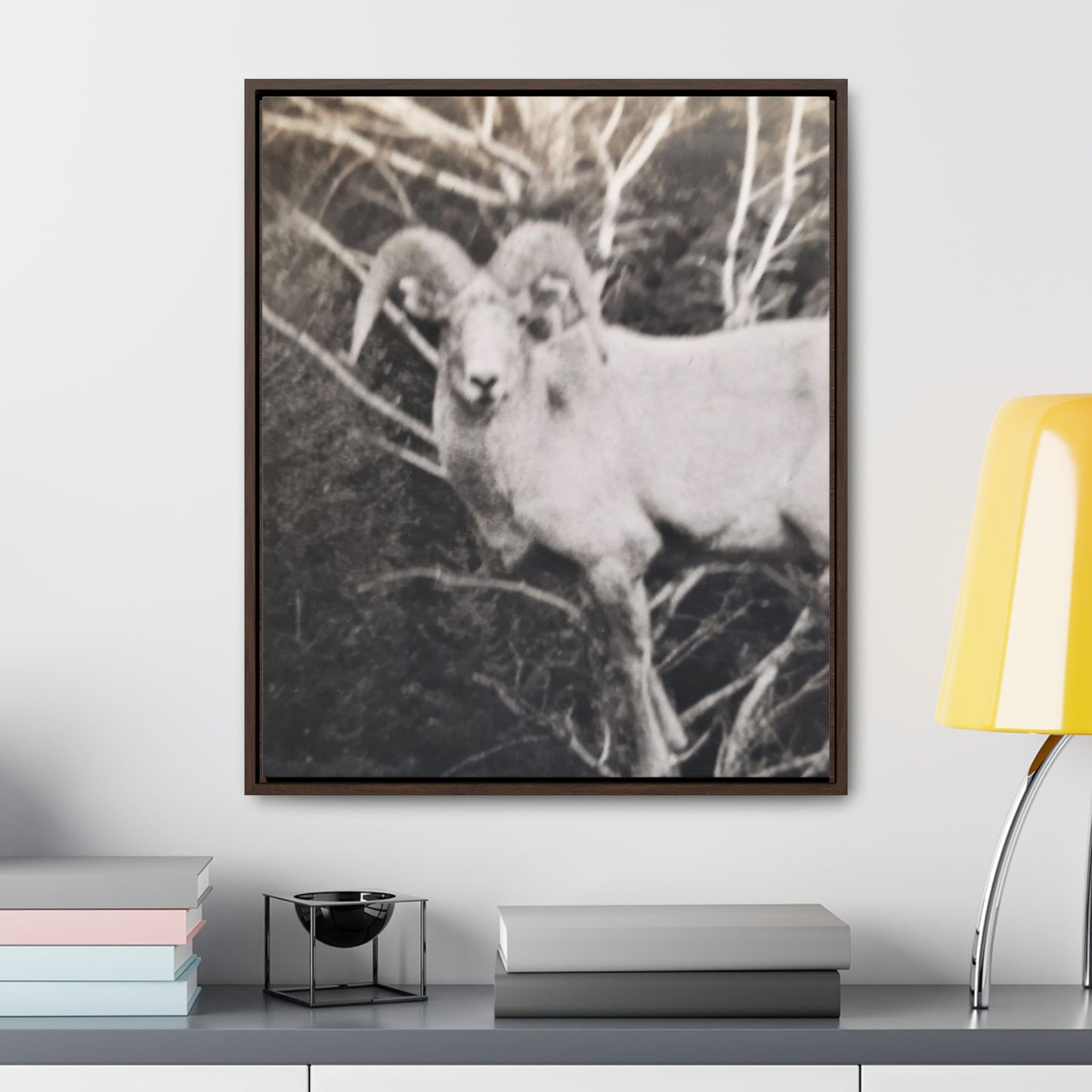 Yellowstone Big Horn Sheep Gallery Canvas Wraps Vertical Frame 20″ x 24″ Premium Gallery Wraps (1.25″) Walnut
