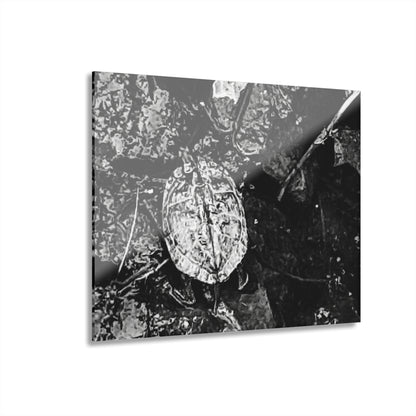 Black & White Turtle Macro Acrylic Print — Modern Nature Wall Art French Cleat Hanging - 14″ x 11″ (Horizontal) 0.25'' - Home Decor