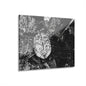 Black & White Turtle Macro Acrylic Print — Modern Nature Wall Art French Cleat Hanging - 14″ x 11″ (Horizontal) 0.25'' - Home Decor