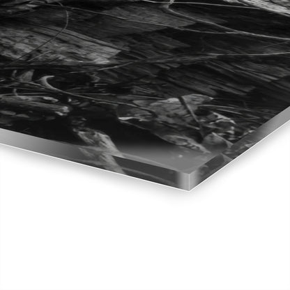 Black & White Forest Acrylic Print French Cleat Hang - - Home Decor