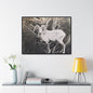 Yellowstone Big Horn Sheep Gallery Canvas Wraps, Horizontal Frame