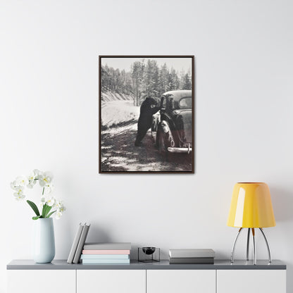 Yellowstone Bear Car Gallery Canvas Wraps Vertical Frame 24″ x 30″ Premium Gallery Wraps (1.25″) Walnut