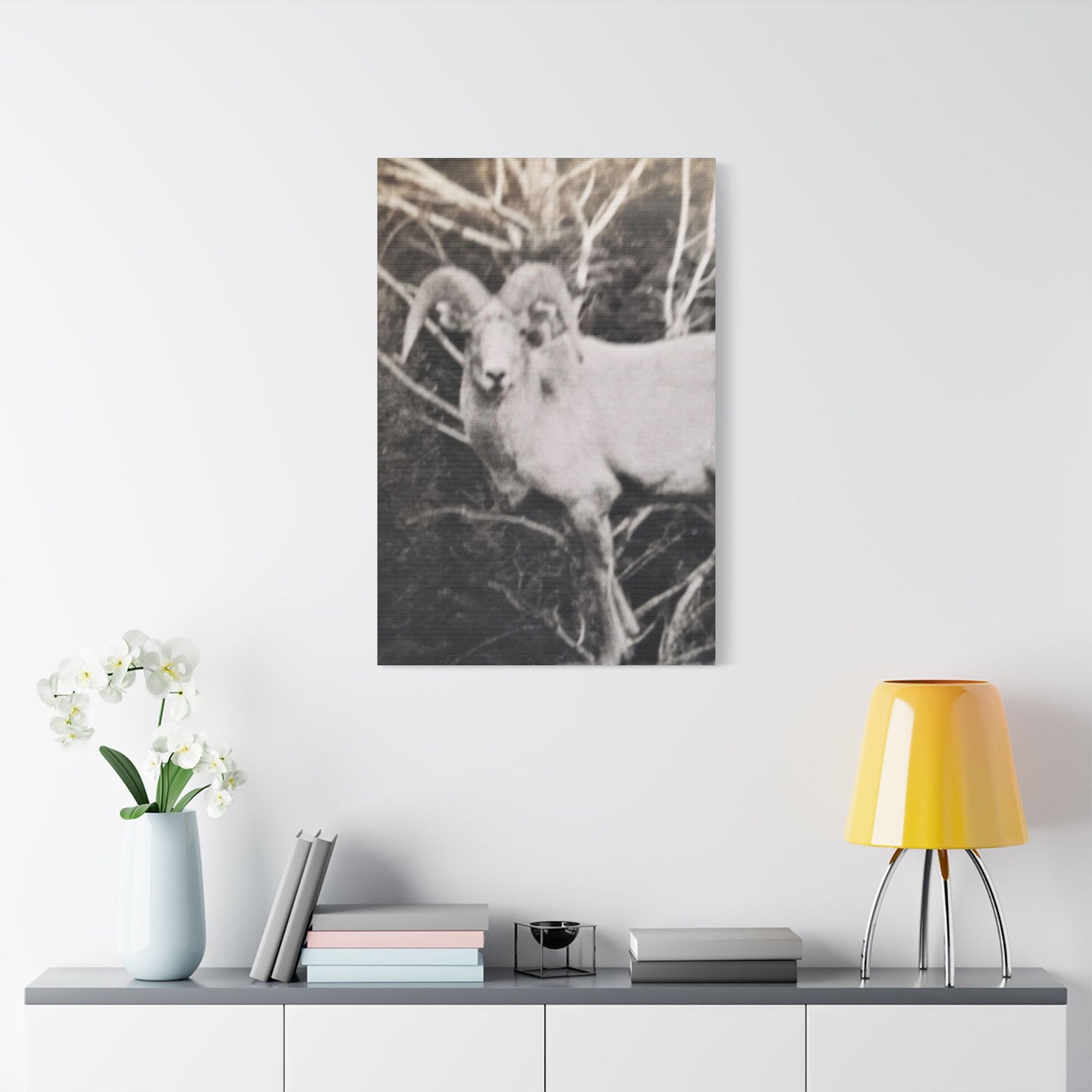 Yellowstone Big Horn Sheep Satin Canvas, Stretched