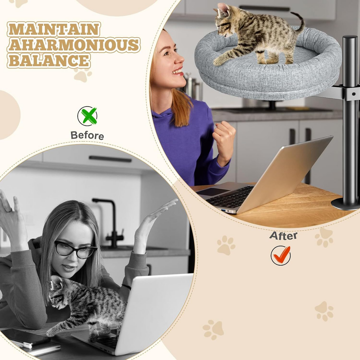 Cat Cozy Spin Bed - - Pet bed