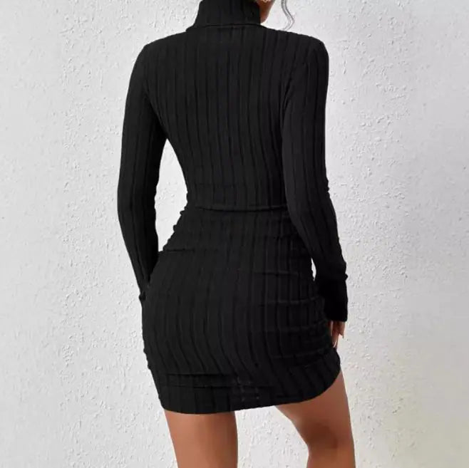 Turtleneck Slim Fit Knitted Dress - Kia Day Design