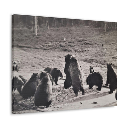 Yellowstone Grizzly Bears Canvas Gallery Wraps