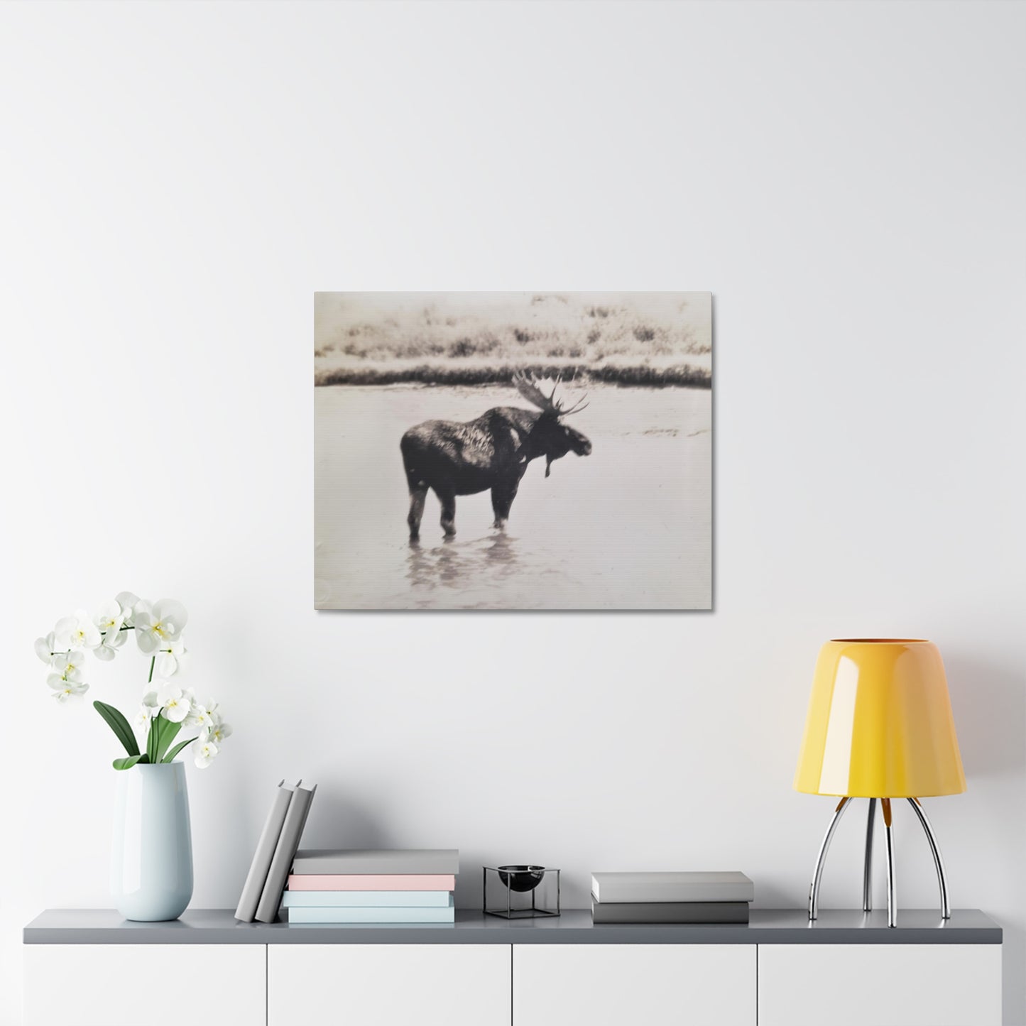 Yellowstone Bull Moose Stretched Canvas