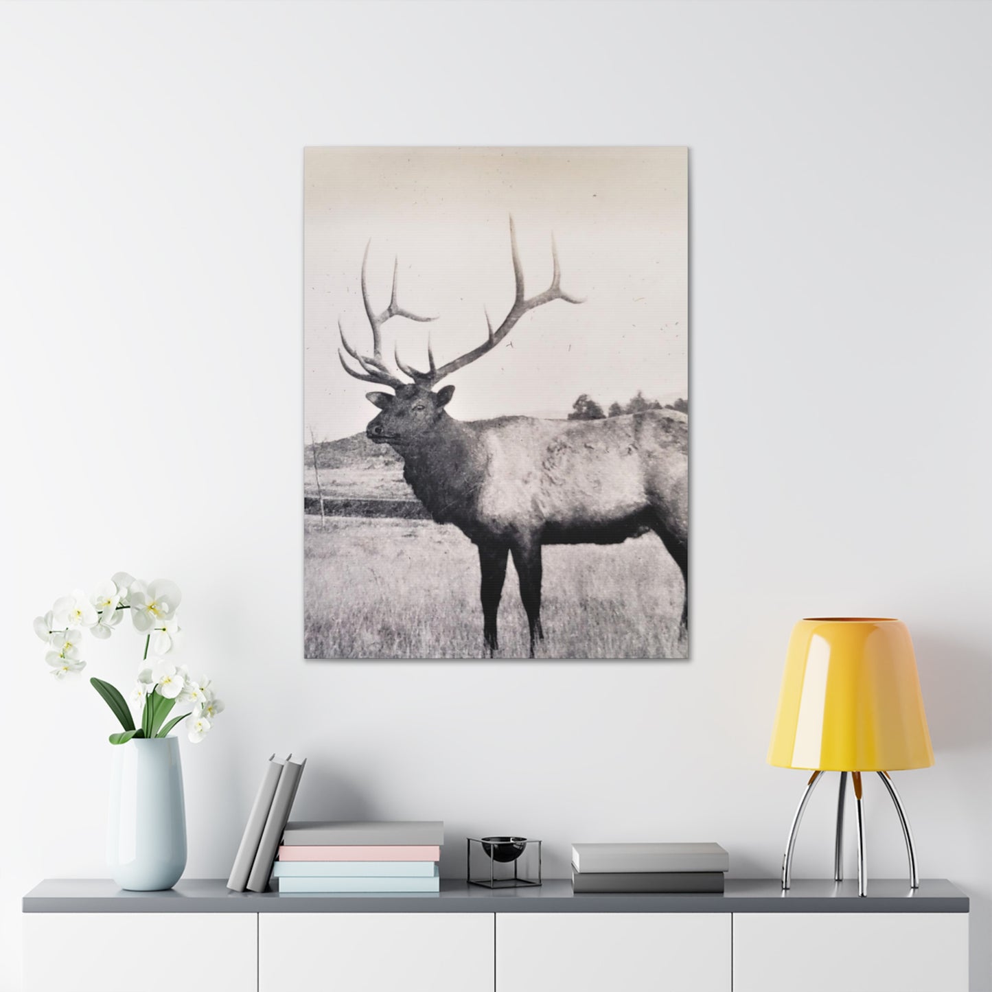 Yellowstone Bull Elk Canvas Gallery Wraps