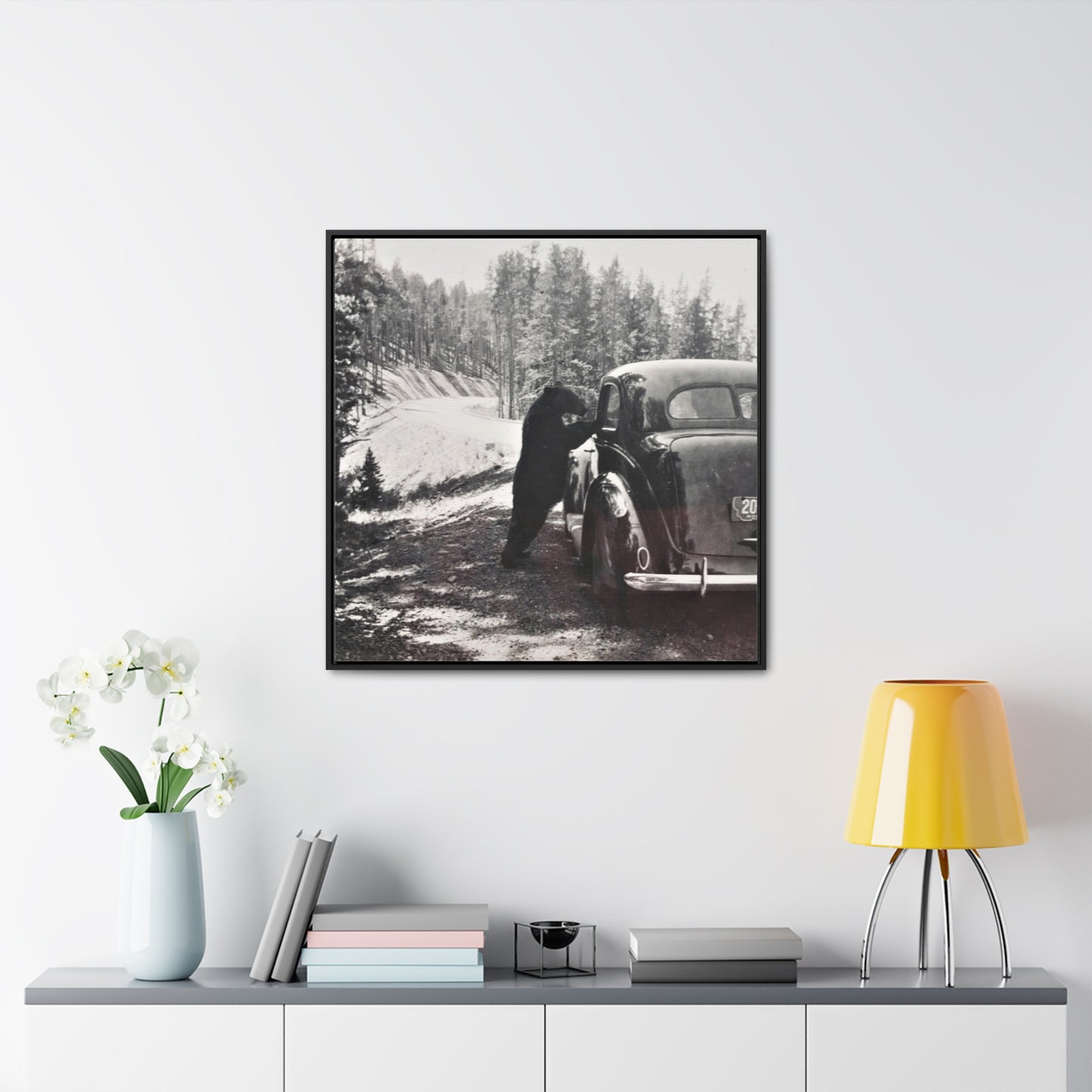 Yellowstone Bear Car Gallery Canvas Wraps, Square Frame