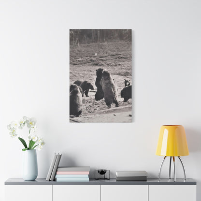 Yellowstone Grizzly Bears Satin Canvas Stretched 24″ x 36″ (Vertical) 1.5"