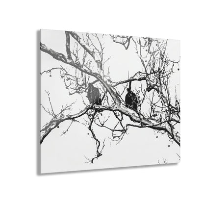 Black & White Buzzards Silhouette Acrylic Print — Modern Minimalist Wall Art - - Home Decor