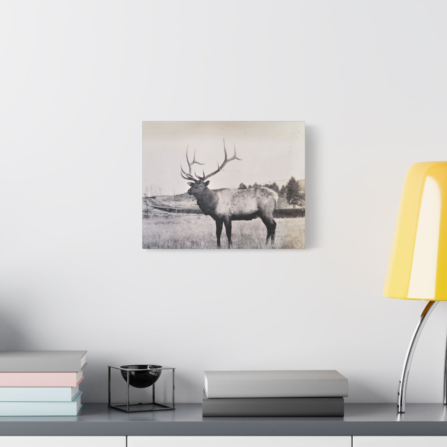 Yellowstone Bull Elk Satin Canvas, Stretched