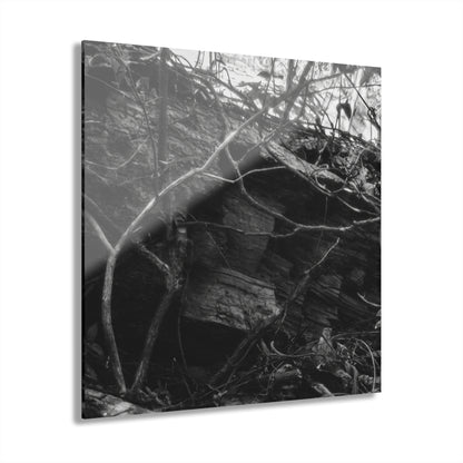 Black & White Forest Acrylic Print French Cleat Hang - - Home Decor