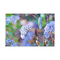 Macro Blue Canvas Gallery Wraps 36" x 24" 1.25"