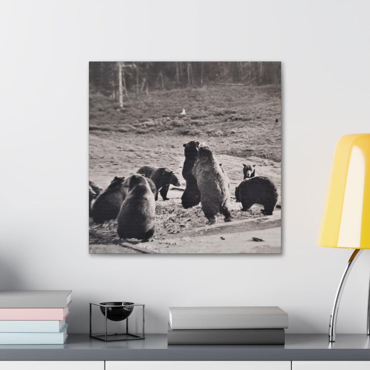 Yellowstone Grizzly Bears Canvas Gallery Wraps 20″ x 20″ 1.25"