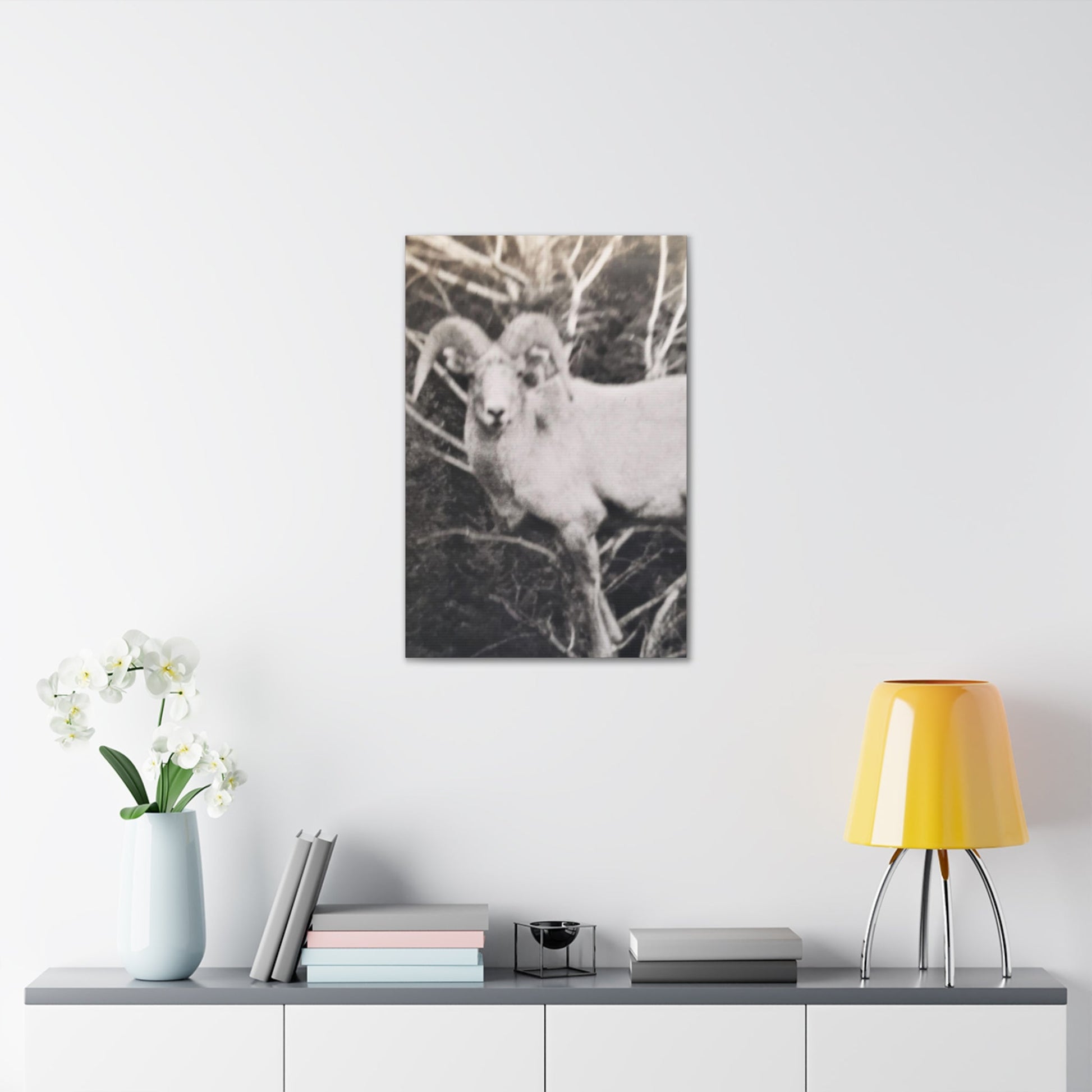 Yellowstone Big Horn Sheep Canvas Gallery Wraps - 20″ x 30″ 1.25" - Canvas