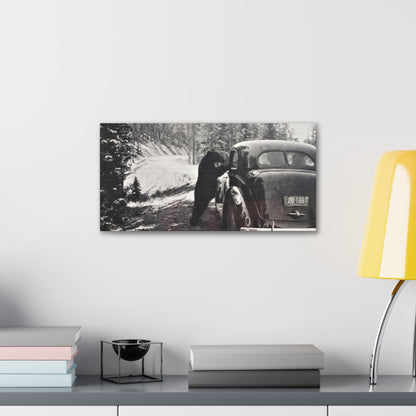 Yellowstone Bear Car Canvas Gallery Wraps 20″ x 10″ 1.25"