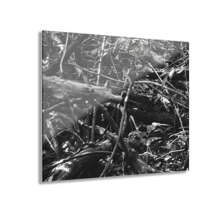 Black & White Deep Timber Path Acrylic Print French Cleat Hanging - 20″ x 16″ (Horizontal) 0.25'' - Home Decor