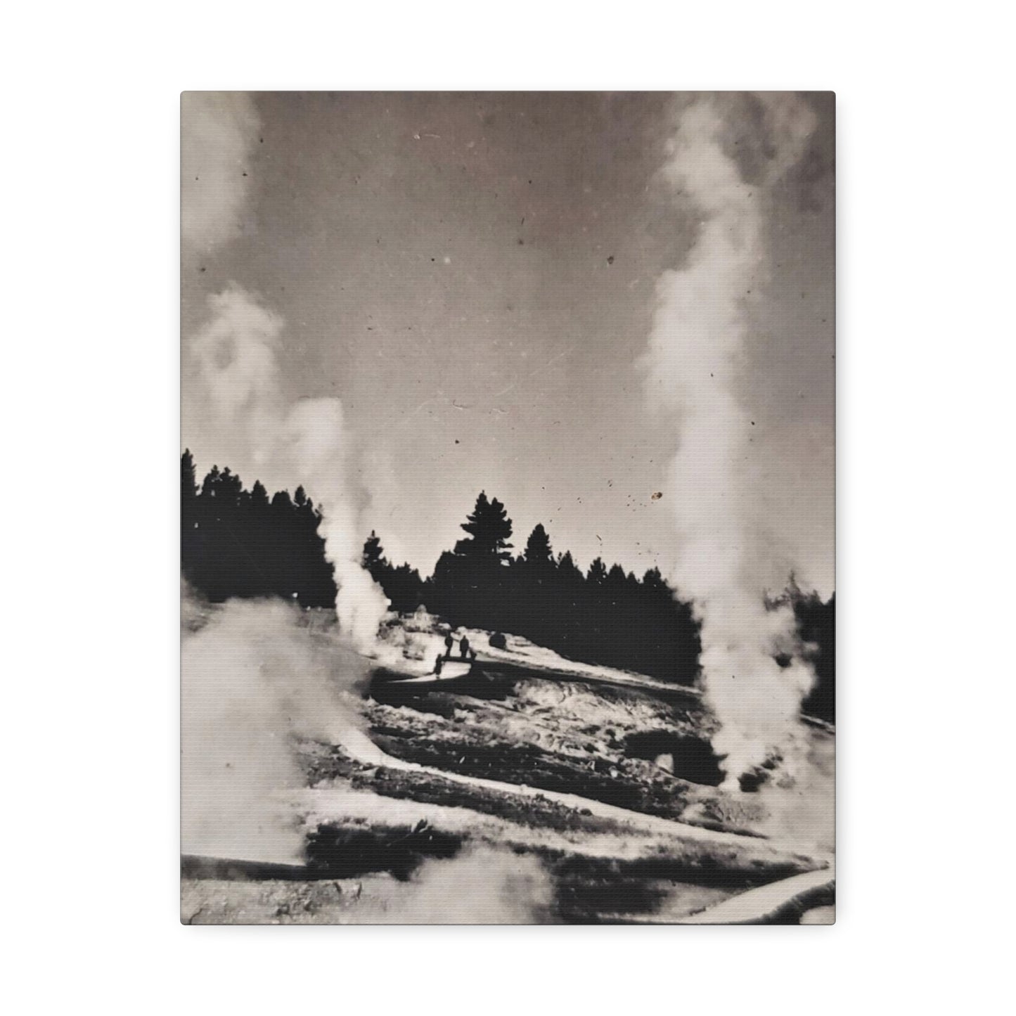 Norris Geyser Yellowstone Stretched Canvas