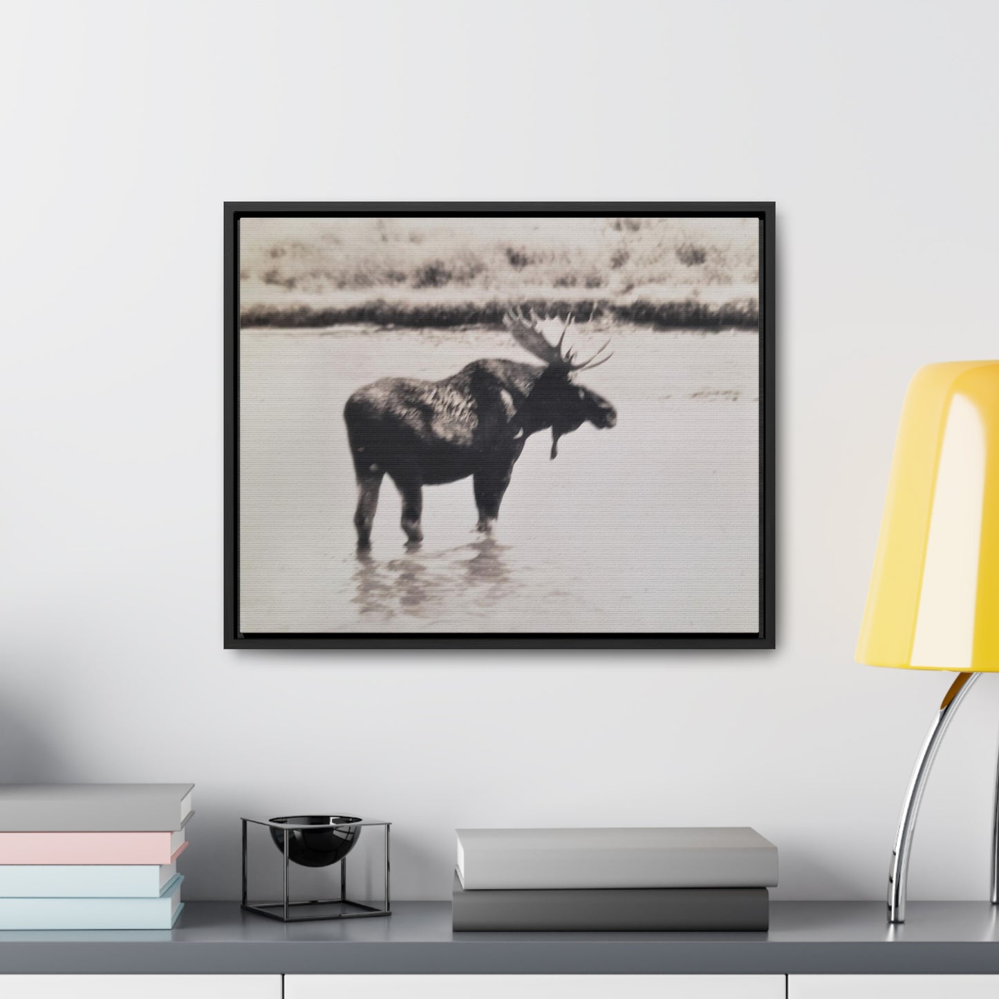 Yellowstone Bull Moose Gallery Canvas Wraps, Horizontal Frame