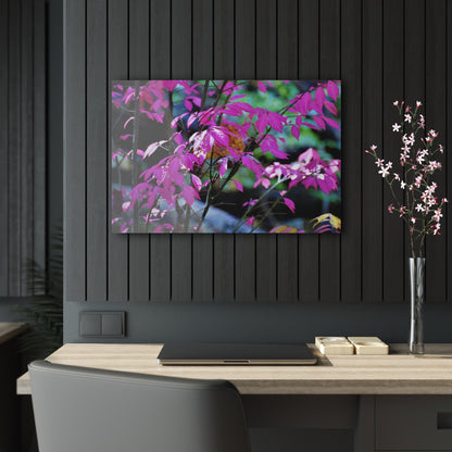 Fall Red Acrylic Prints 30″ x 20″ (Horizontal) Glossy