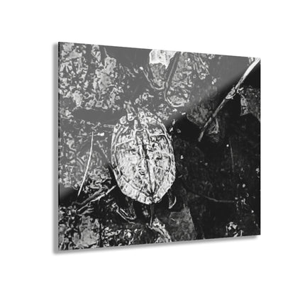 Black & White Turtle Macro Acrylic Print — Modern Nature Wall Art French Cleat Hanging - 20″ x 16″ (Horizontal) 0.25'' - Home Decor